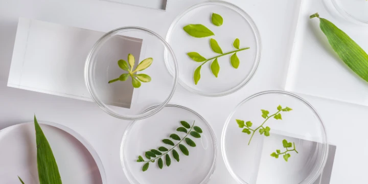 環境科學 擺放在深色桌面上的繪畫工具,包括水彩顏料盤、插在瓶中的畫筆和調色板。